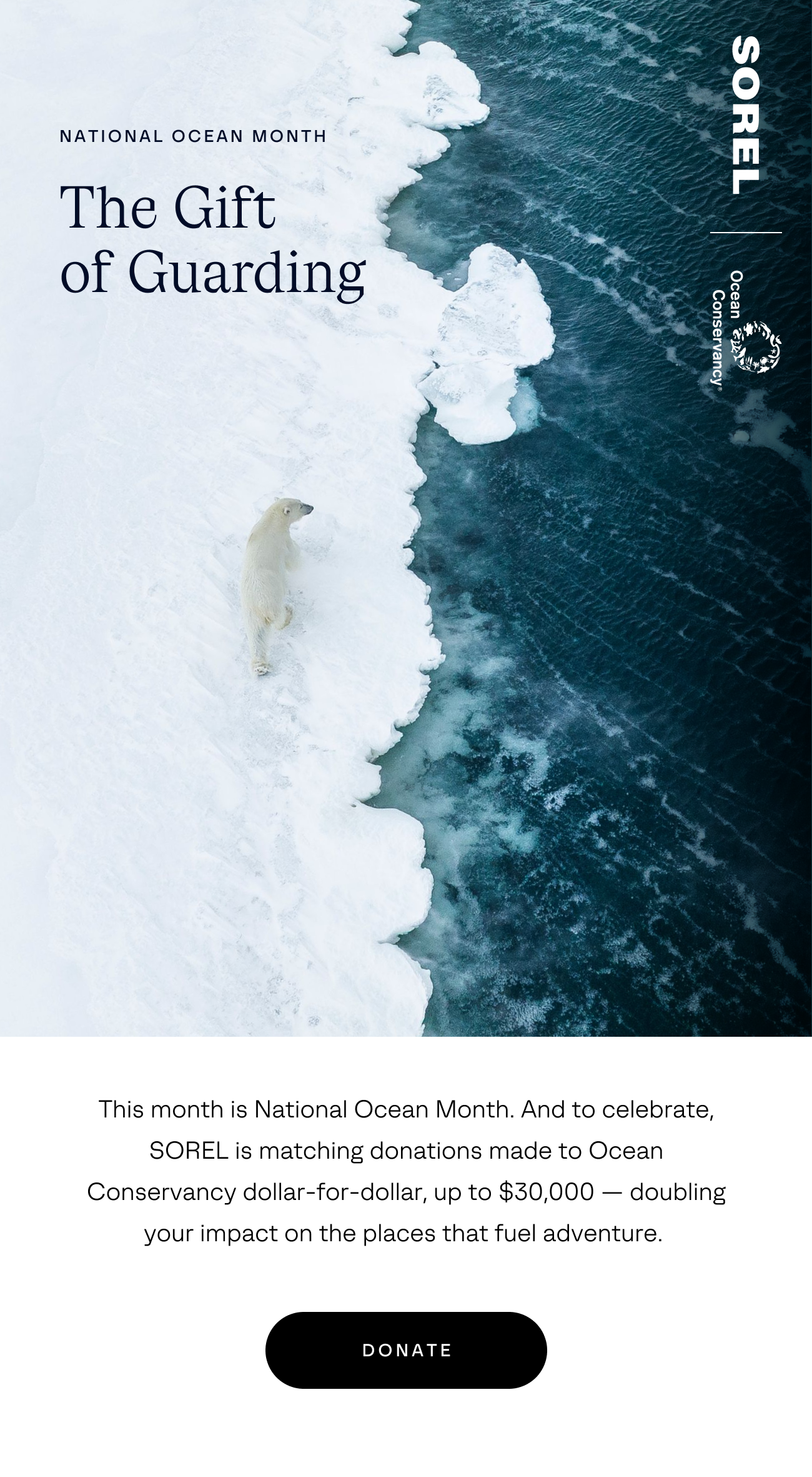 ocean conservancy support by donating 