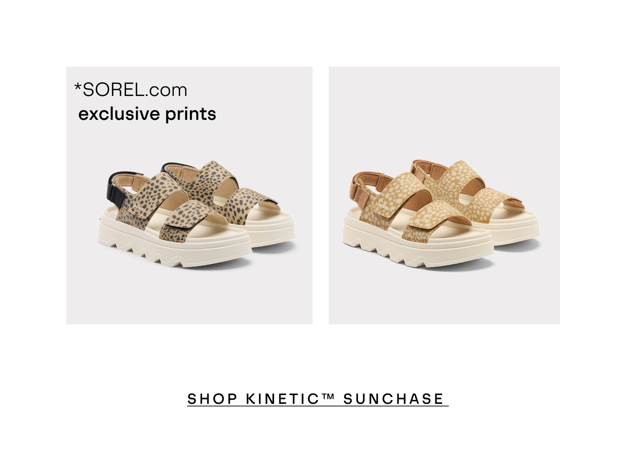 Kinetic Sunchase Shopping 