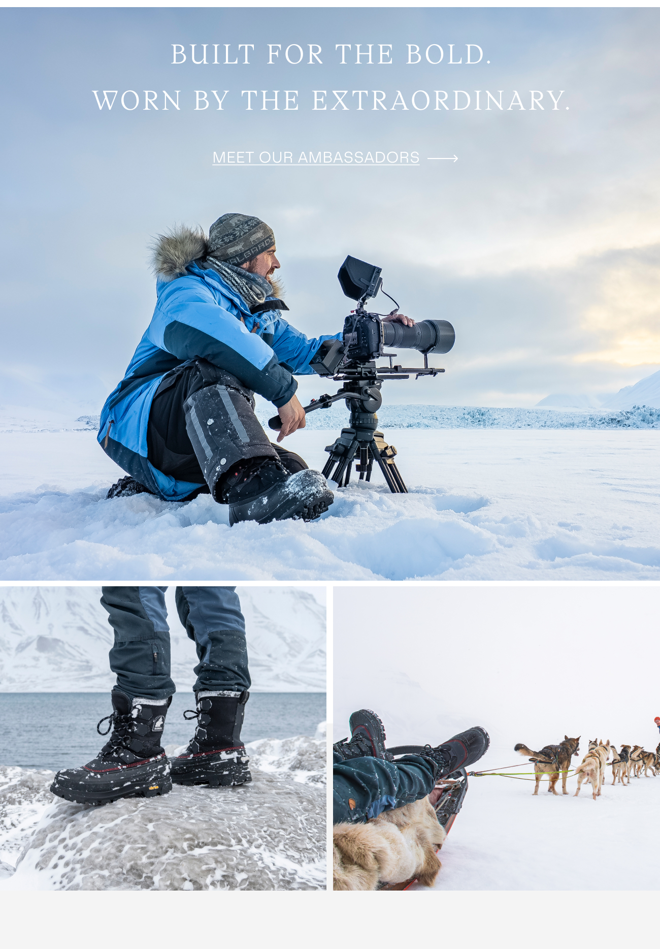 Ambassadors Ambassadors