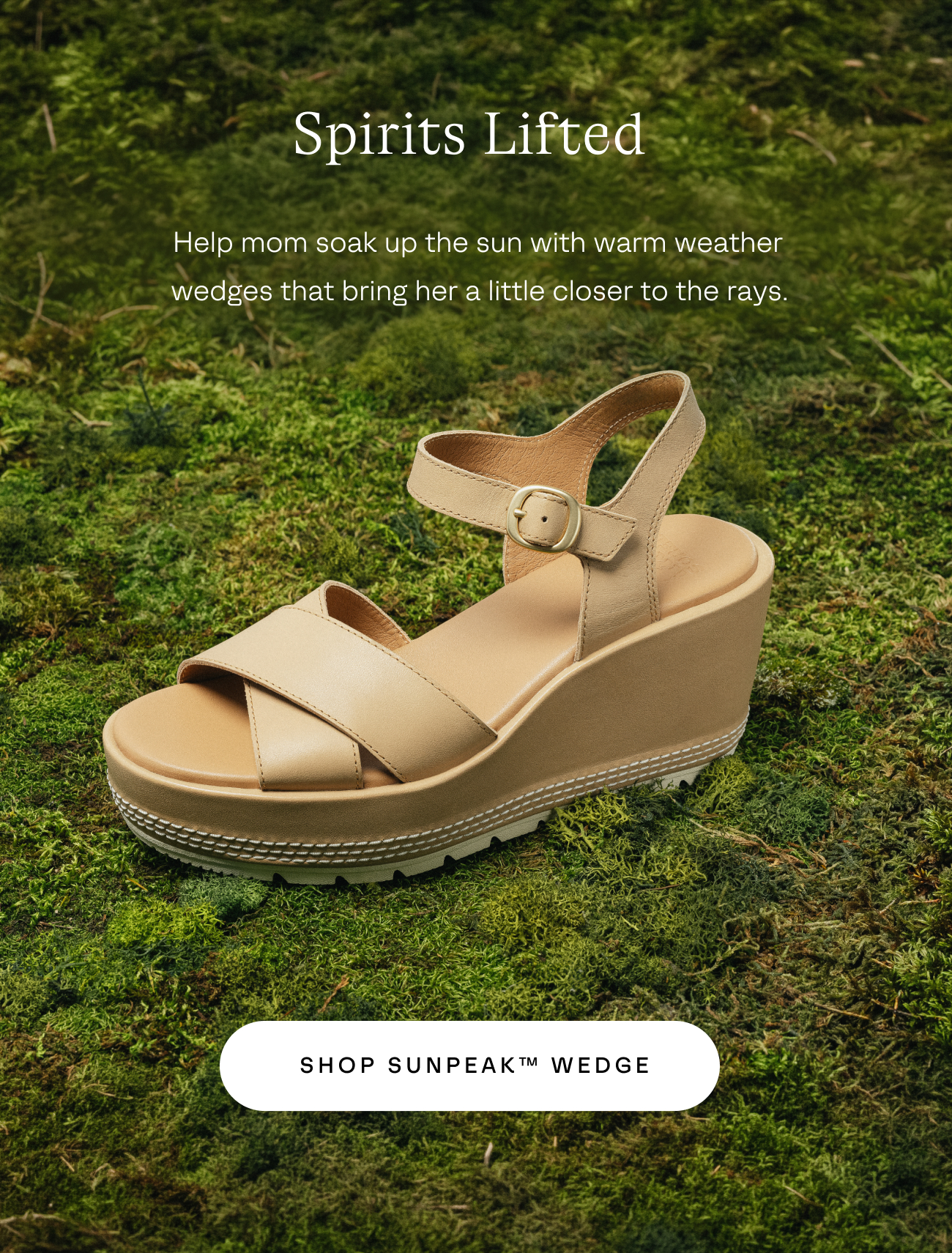 Wedge sandal set atop mossy green setting